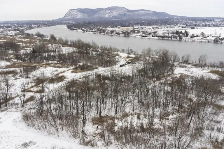 Northvolt plant in Montérégie |  A request for an injunction to suspend the work