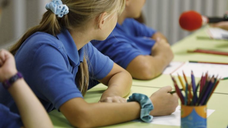 Outfit, cost, number of establishments… What we know about experimenting with uniforms at school