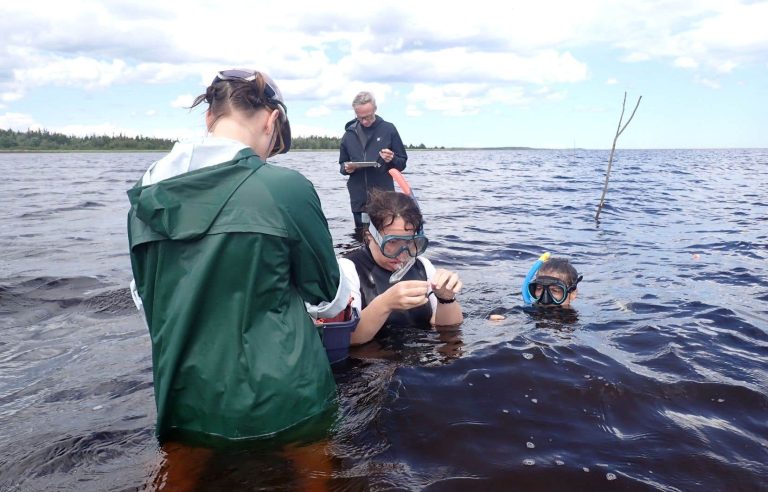 Preserve underwater flora |  The duty