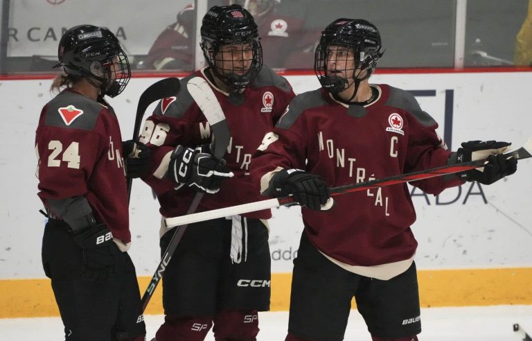 Professional women’s hockey league: moments that go beyond a simple match