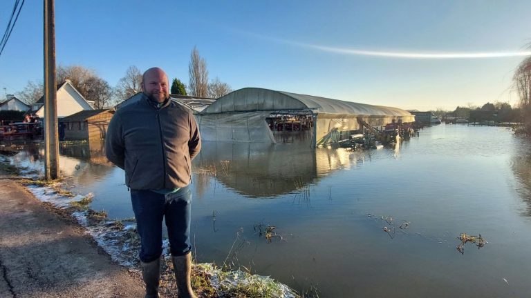 REPORTING.  In Pas-de-Calais, farmers chilled by the frost, after the floods which soaked the fields