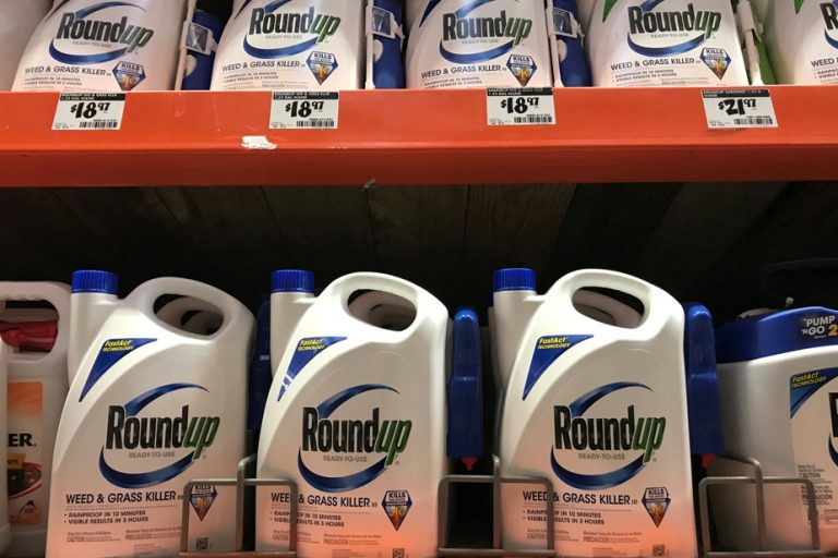 Roundup |  Monsanto ordered to pay $2.25 billion in damages