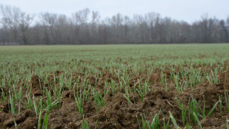 Soil drought reaches lowest level in Europe since 2018