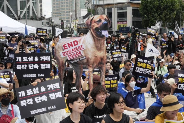 South Korea votes to ban dog meat