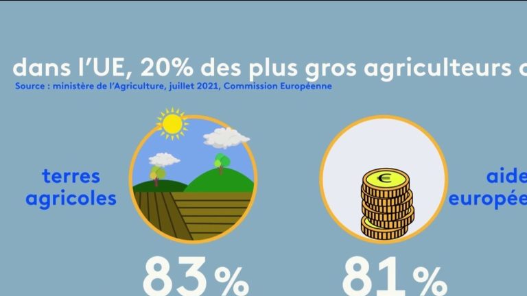 TRUE OR FALSE.  Is 80% of European aid paid to the richest farmers?