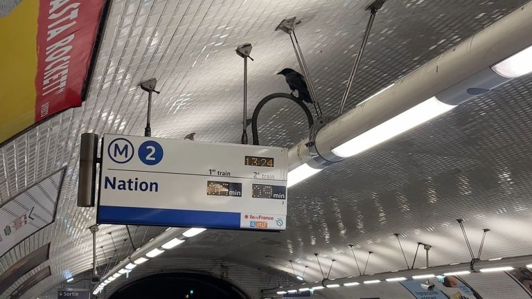 “The Crow of Ménilmontant” remains blocked in the Paris metro