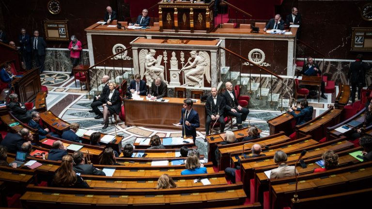 The National Assembly increases the mandate fees of deputies by 300 euros per month