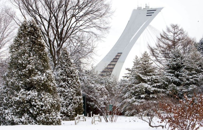 The Olympic Stadium, a problem that we take sideways