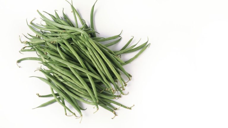 These are the microbes that shaped the green bean