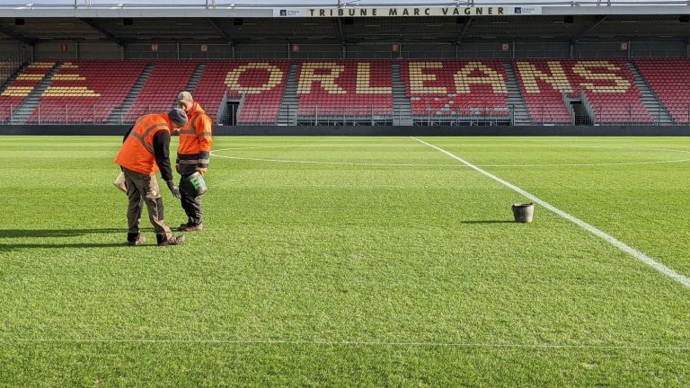 Ticket prices, condition of the pitch… The controversies before the Orléans-PSG match in the round of 16 of the French Football Cup