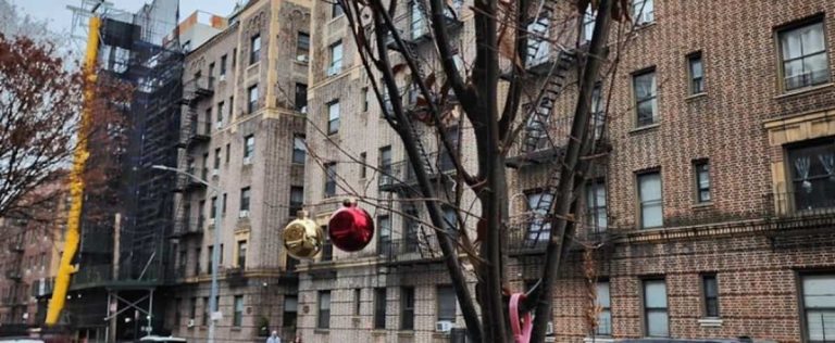 Trees invade sidewalks in New York