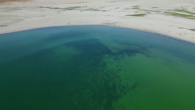 Türkiye: lakes in danger due to agricultural practices