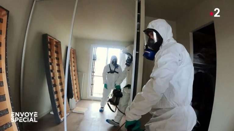 VIDEO.  Bedbug hell