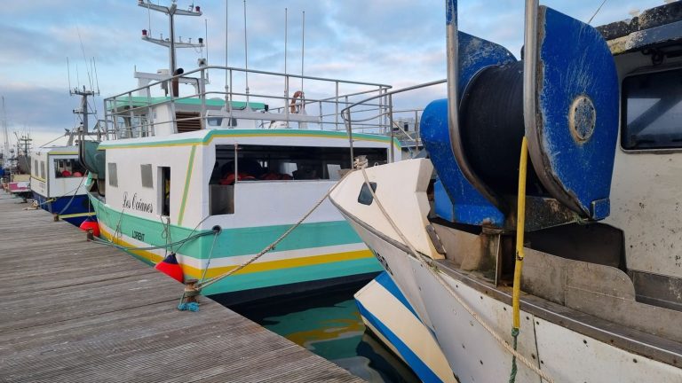 “We are going to hit the bottom”, warn fishermen from Lorient