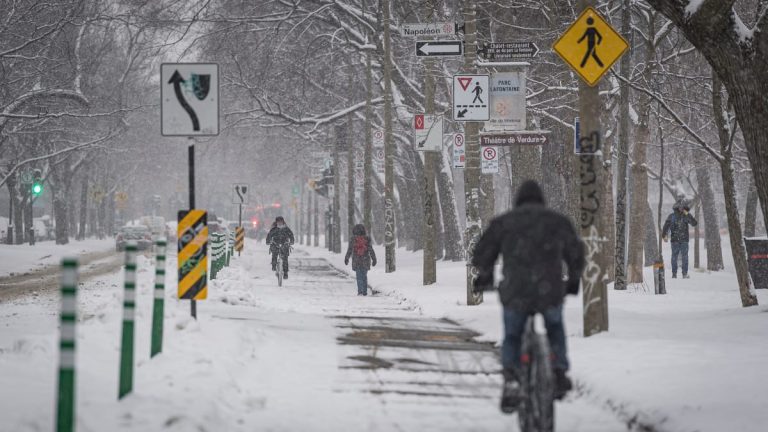 Why are the cycle paths always so well cleared of snow?