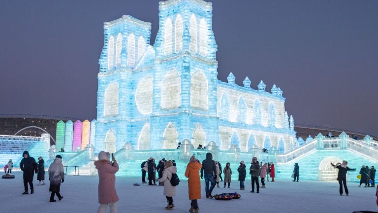 a Notre-Dame de Paris made of ice, to bring tourists back to France