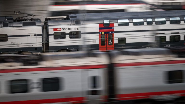 a woman in a wheelchair who fell on the tracks survives the passage of a train