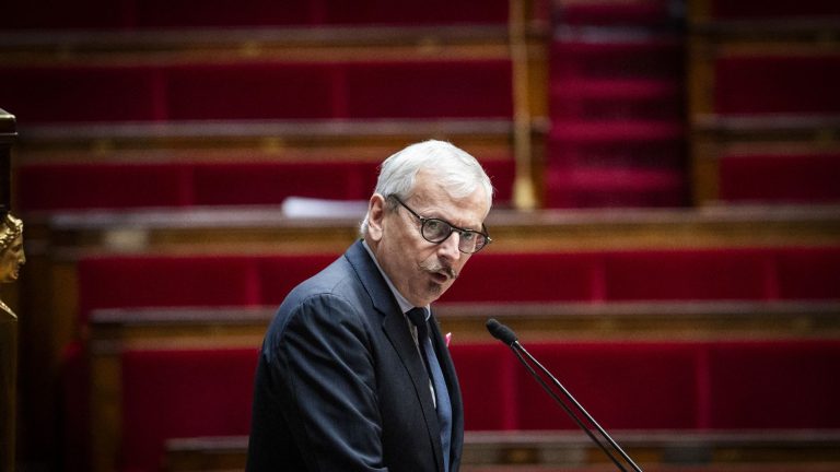 accused of attacking the head of environmentalists in the Assembly, Renaissance deputy Jean-René Cazeneuve will not be sanctioned