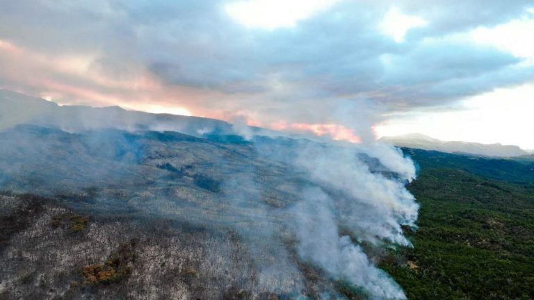 an “out of control” fire destroys nearly 600 hectares of a forest classified as a UNESCO heritage site