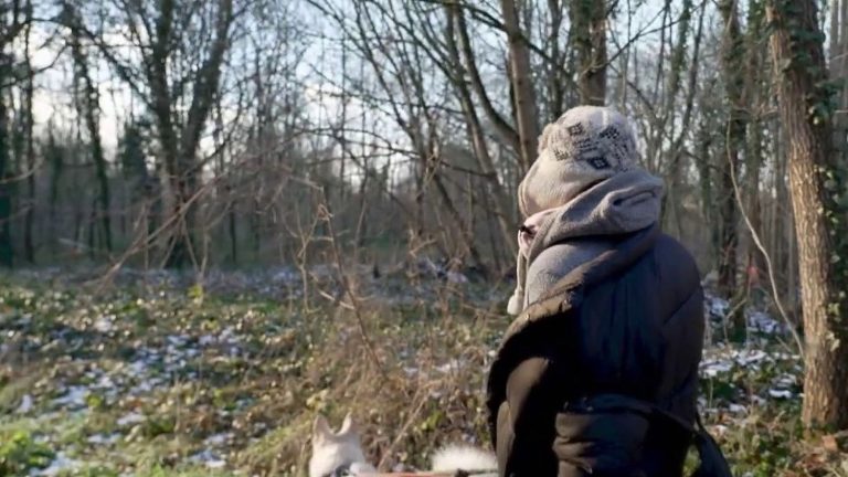 homeless people survive as best they can in the Bois de Vincennes