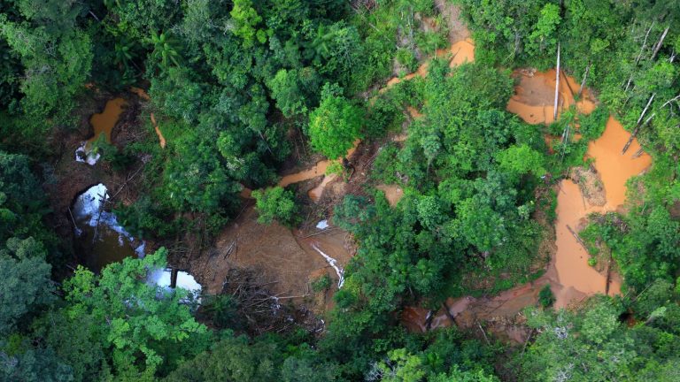 in French Guiana, soldiers from Operation Harpie are fighting against illegal gold panning