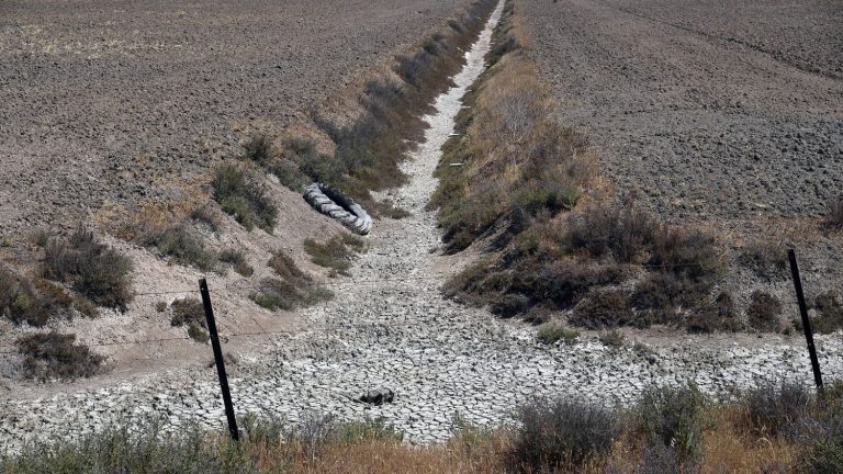 in the United Kingdom as in Spain, the State actively helps farmers to reconcile their practices with ecology