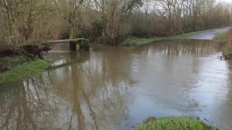 man found dead drowned in his car