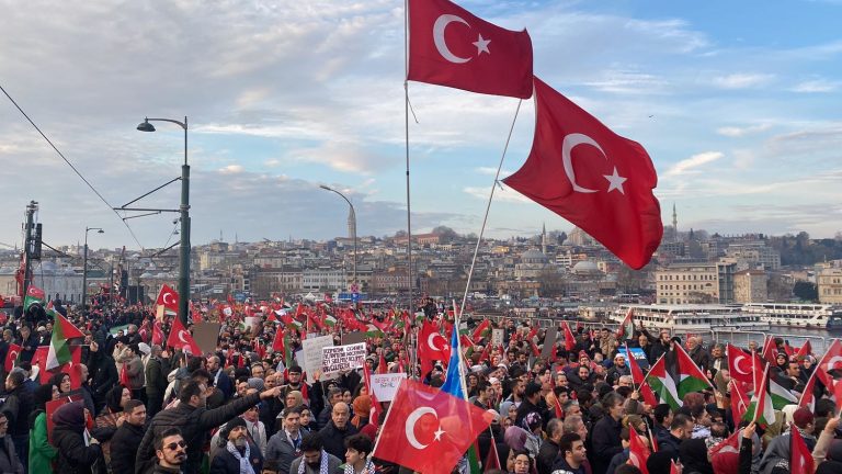 tens of thousands of Turks gathered in support of Gaza