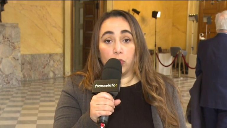 “the State delayed in many cases”, according to Sabrina Sebaihi, EELV deputy and rapporteur of the commission of inquiry