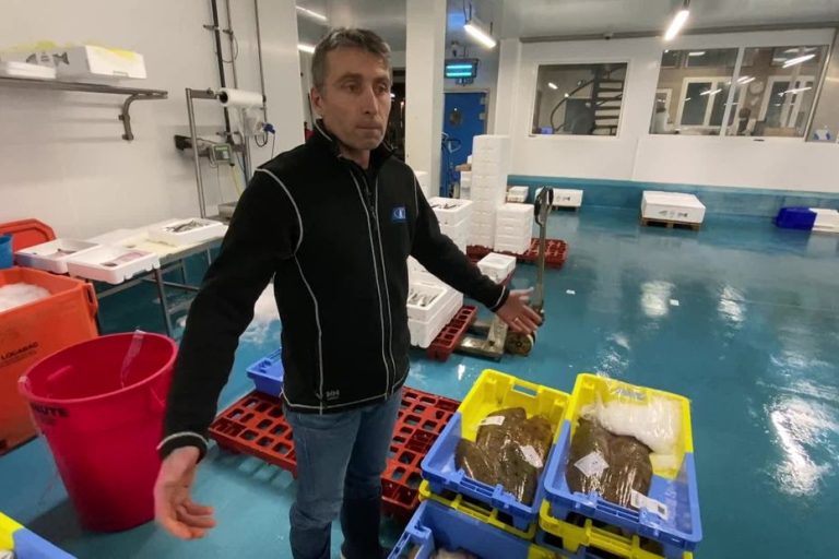 the concern of fishmongers after a month without fishing in the Bay of Gacogne