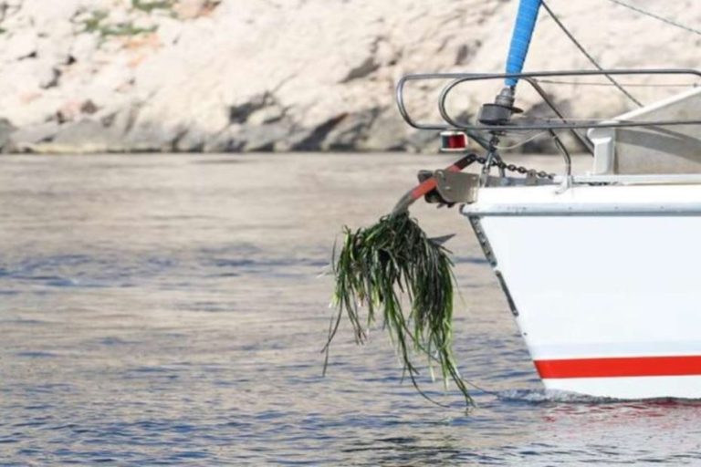 the damage to a yacht estimated at more than 200,000 euros