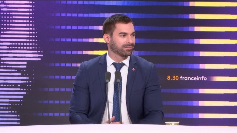 unlike the “green ayatollahs”, the RN is not disconnected “from real ecology”, assures its spokesperson Julien Odoul