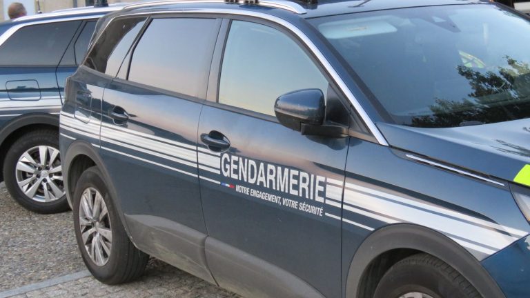 900,000 child pornography files seized by the gendarmes, six men placed in detention