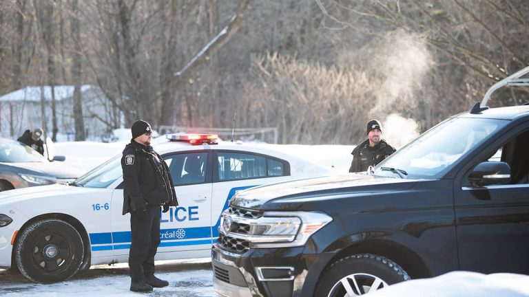 A criminal network that allegedly stole 55 vehicles dismantled in Montreal and Lanaudière