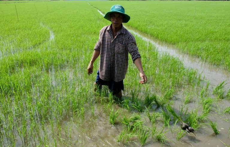 A paradise lost in Vietnam… by humans