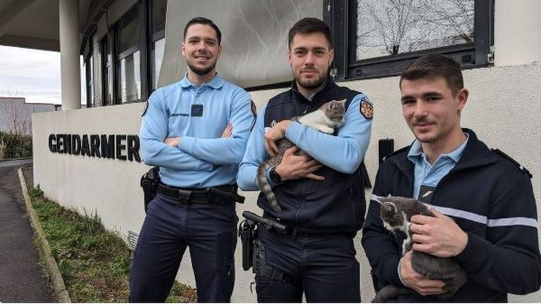 Abandoned kittens saved at the last minute by police