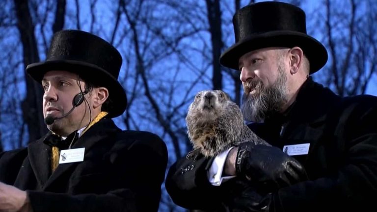 All groundhogs predict an early spring!