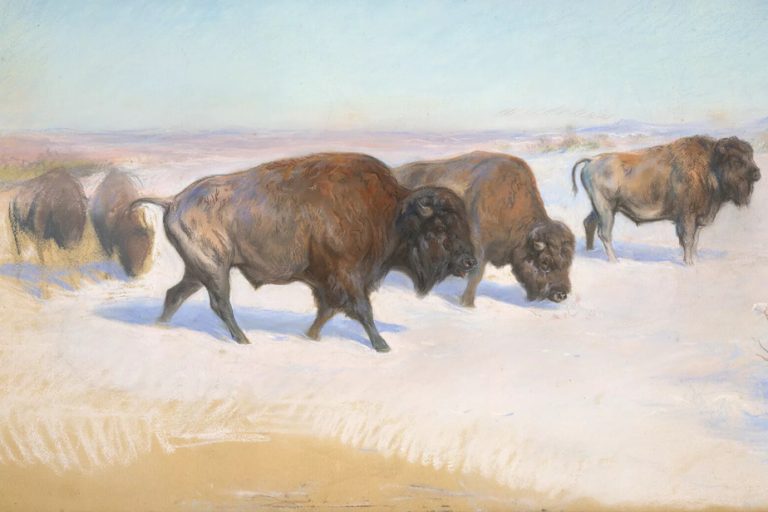 At Christie’s in Paris |  Auction of an unpublished pastel by Rosa Bonheur