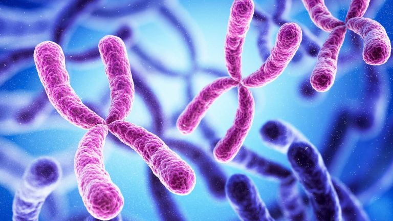 Autoimmune diseases: women more affected because of the X chromosome