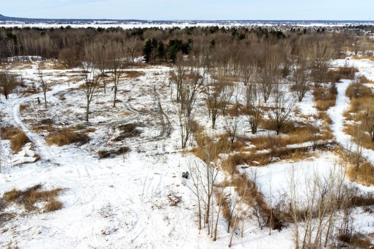 Backfilling of wetlands |  Around a hundred trucks per day at the Northvolt site