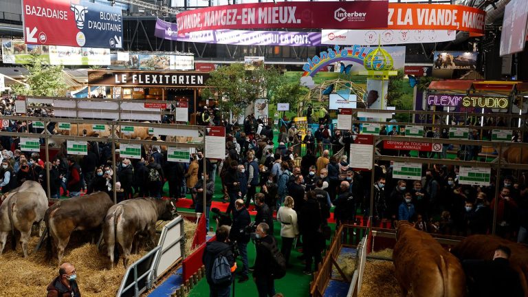 Before the opening of the Agricultural Show, a week of mine clearance for the government