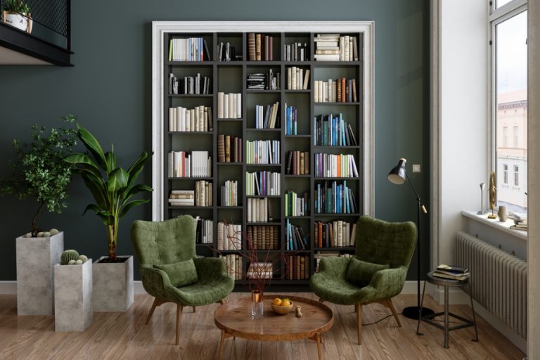 Bookshelf wealth, the current decor trend on TikTok