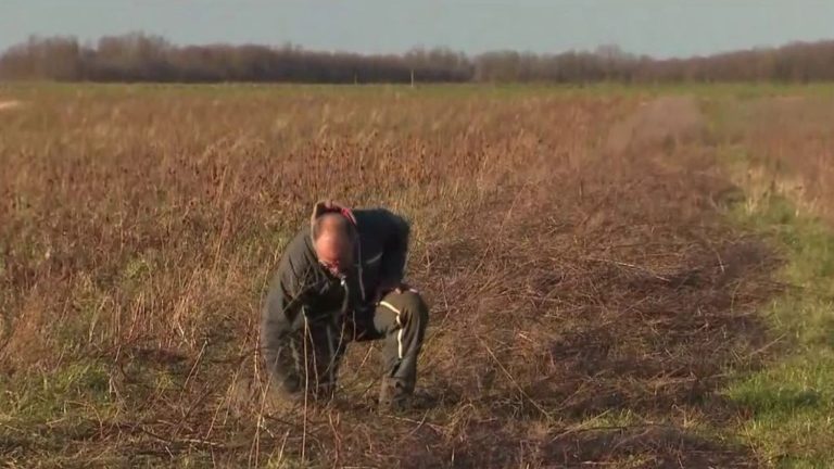 Brussels makes a gesture for fallow land