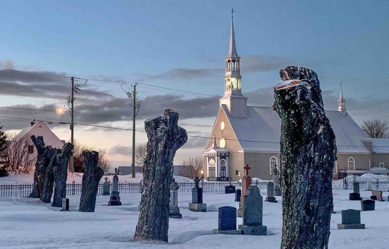 Century-old trees felled on a protected site in Saint-André-de-Kamouraska