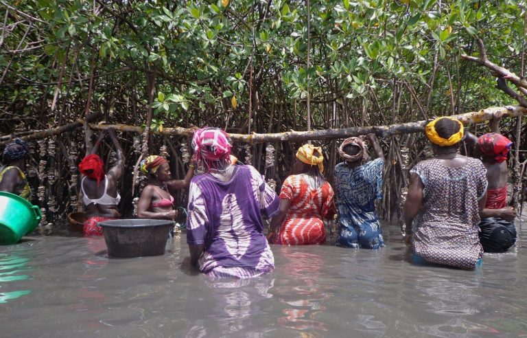 Climate change: African peasant women on the front lines