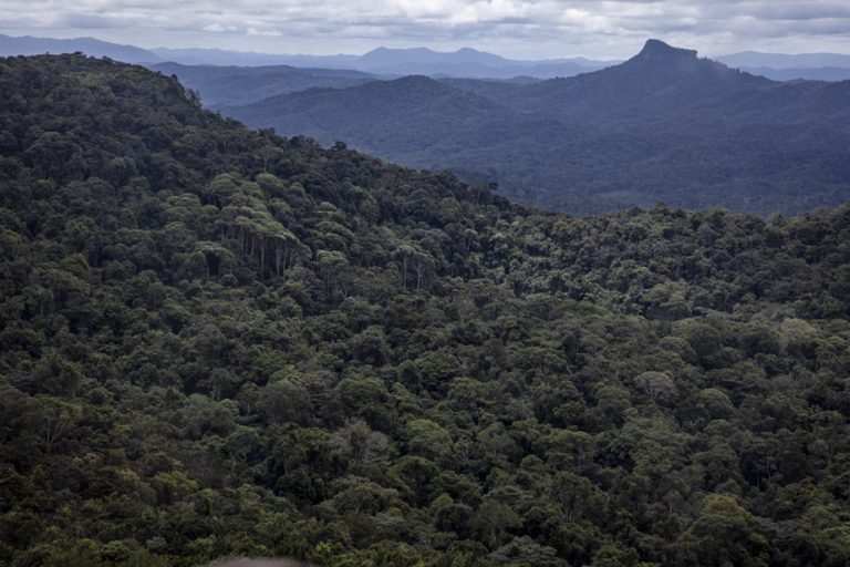 Colombia |  Nearly 25,000 people confined under threat from armed groups