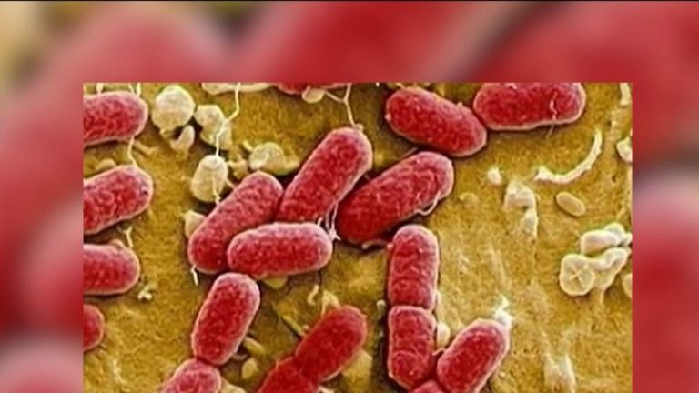 Contamination with E.coli bacteria: many children affected