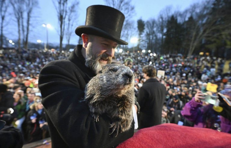 Continental marmots predict an early spring