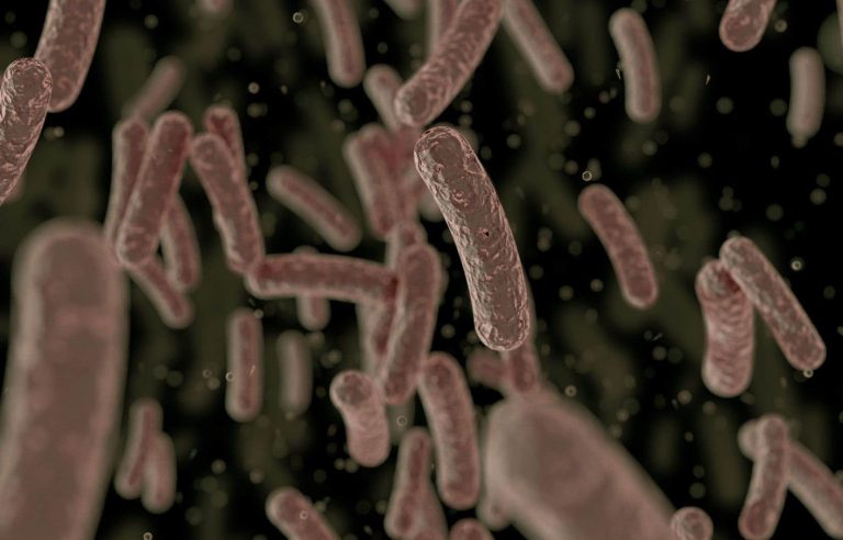 Countering the ability of bacteria to resist antibiotics