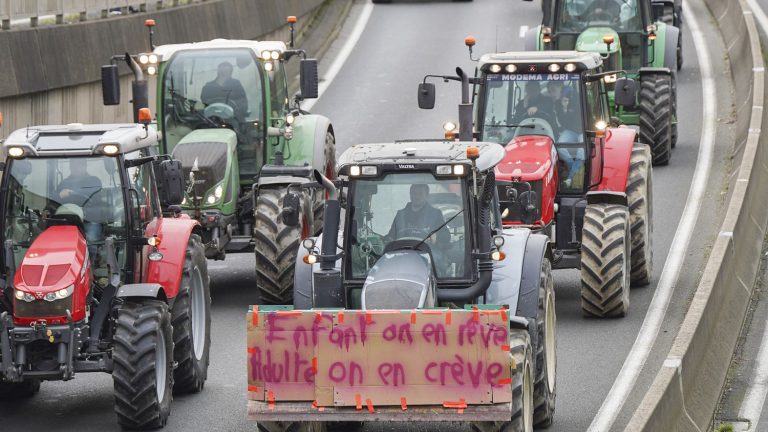 DIRECT.  Farmers “ready to take action again” without concrete progress, warns the boss of the FNSEA